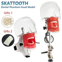Cabeza fantasma Dental con dientes para dentista, práctica de enseñanza, entrenamiento, Apparatu, modelo de cabeza de maniquí, simulador Dental