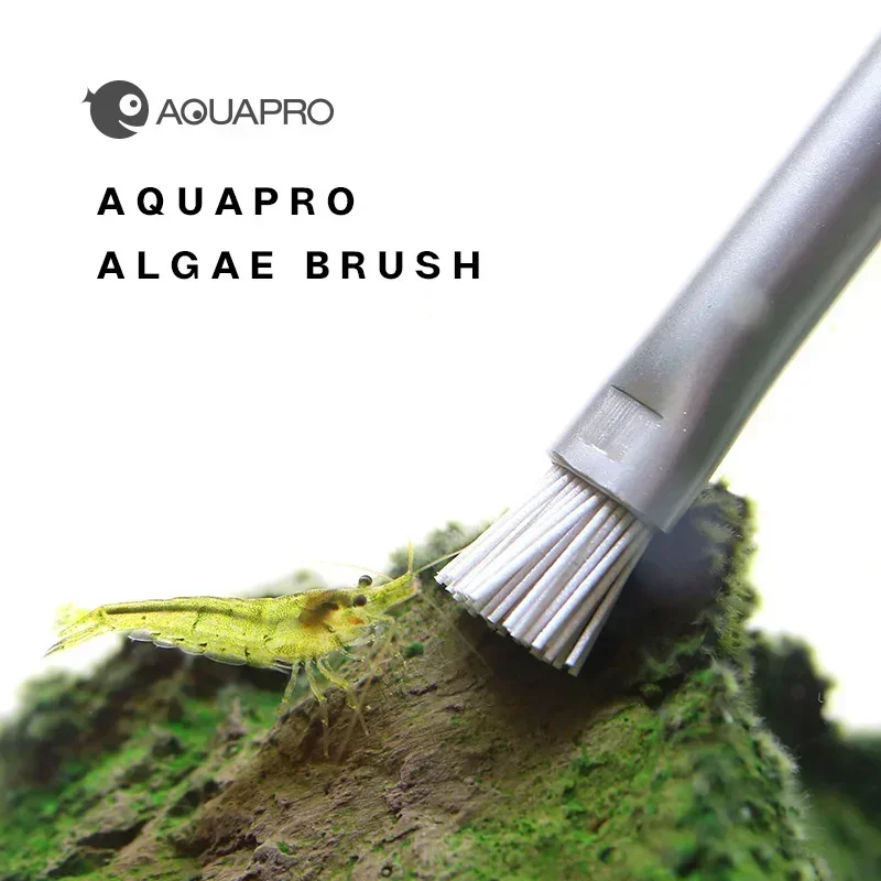 

Stainless Steel Aquarium Algae Cleaning Brush, Fish Tank Landscaping Stone, Water Plant, ADA Same Powerful Algae