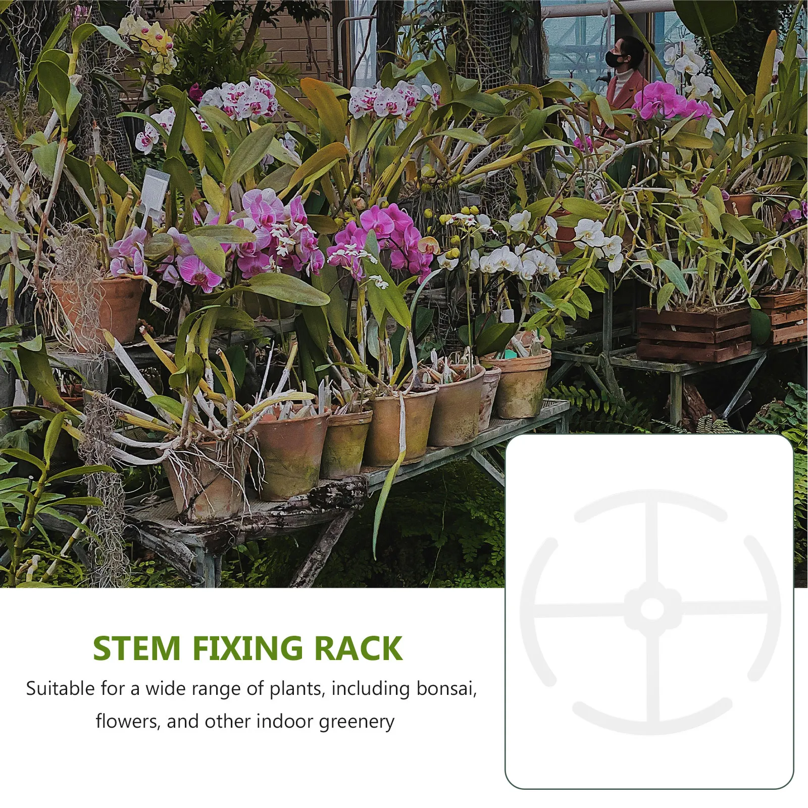 4 stuks acryl plantenklimstams - Bonsai Vertical Garden recensie en prijs