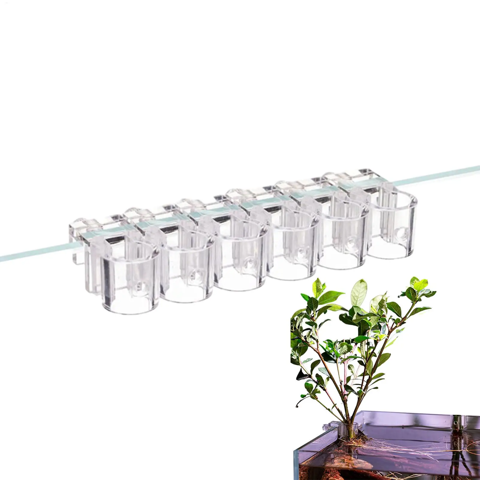 Suporte para plantas de aquário, 6 peças, copo transparente para plantio, mini vaso para aquário, suporte para plantas aquáticas, para aquário