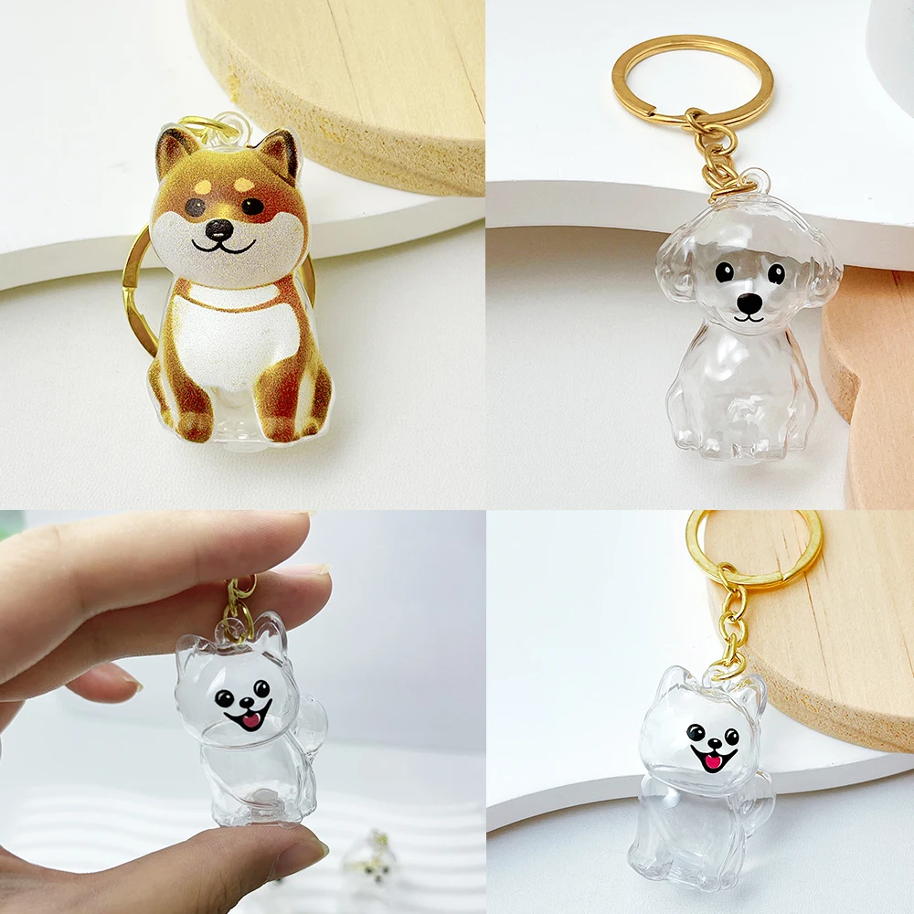 50pcs Wholesale Cute Transparent Plastic Keychain Dog Hair Storage Keyring Bag Car Pendant For Family Member Souvenir Gift