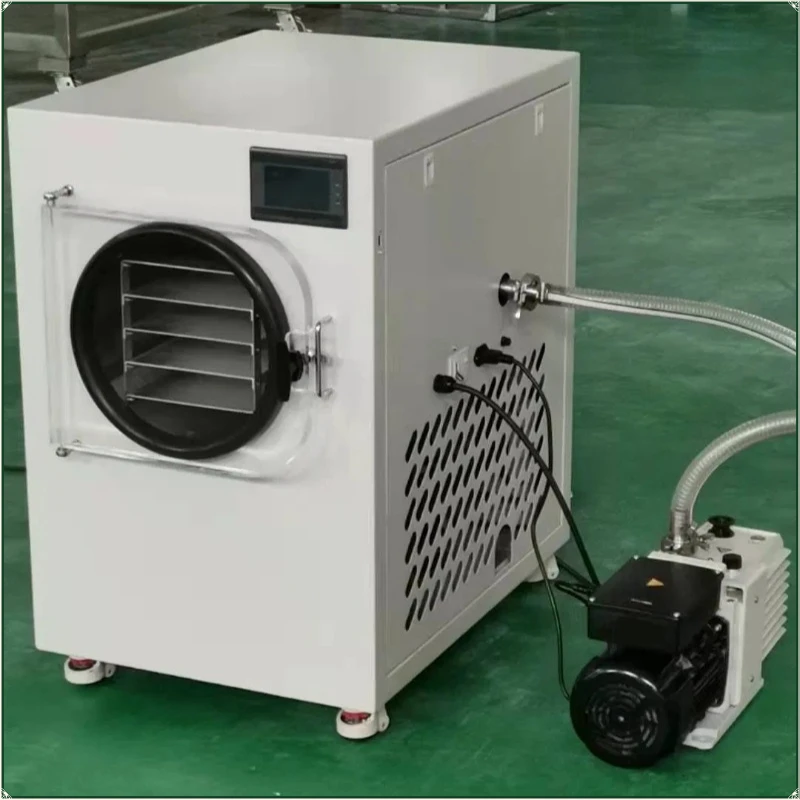 Small Food Freeze Dryer Vegetable Lyophilizer Mini Home Fruit Freeze Dryer Machine Price FL Customized