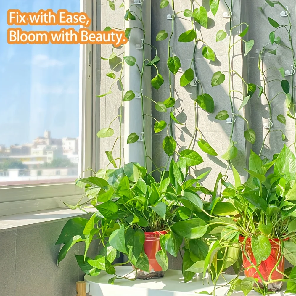 10pcs Lovely Snail-Shaped Vine Climbing Support Clips - No-Scratch Wall Mounts for Pothos & Indoor Greenery, Sticky Hooks