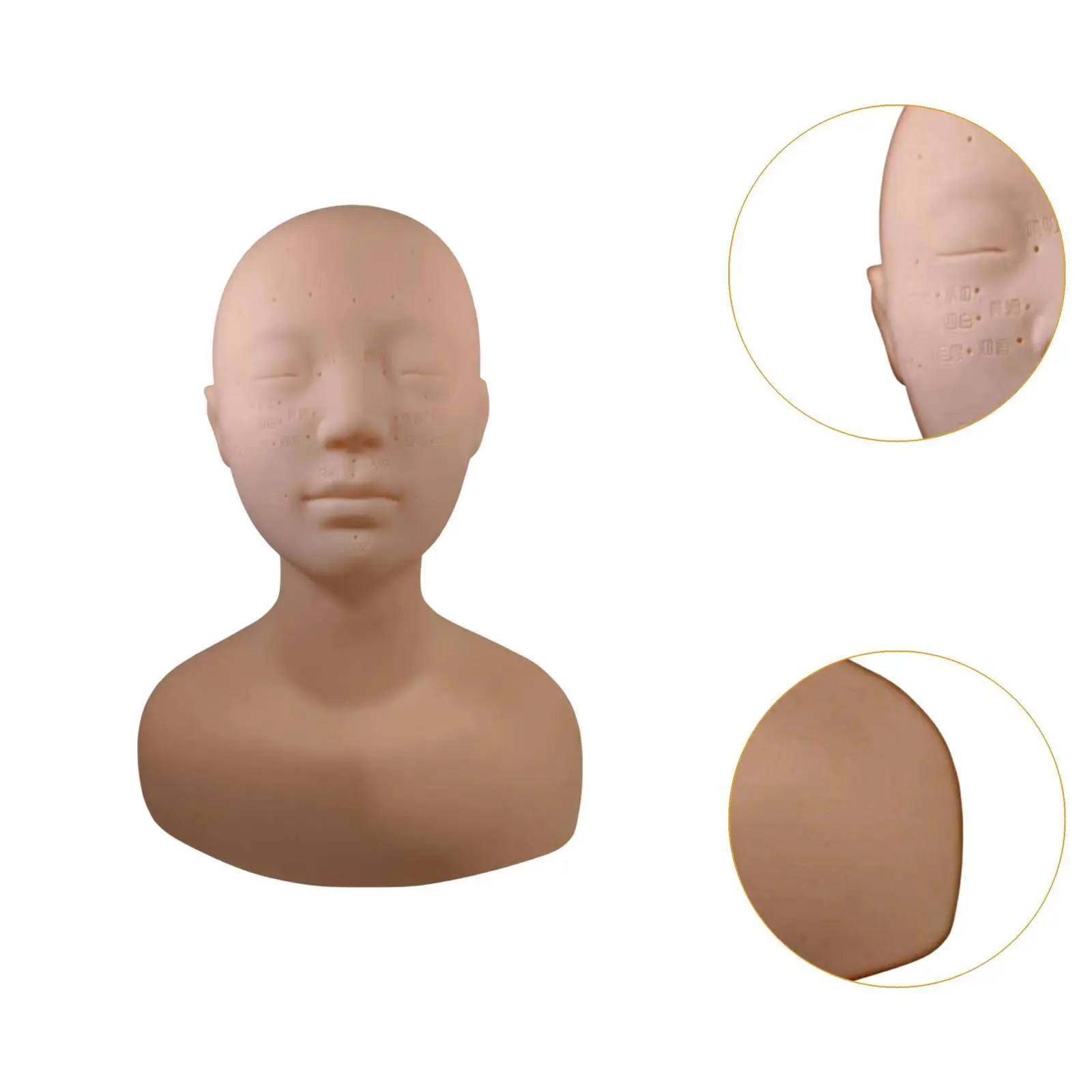 

Training Mannequin Head Practice Tool Lightweight Flexible Massage Practice Head Mannequin Shoulder Bust for Demonstration