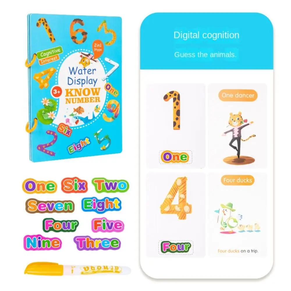 Disegno con penna Giochi da disegno ad acqua Disegno educativo precoce dei cartoni animati Giocattoli Montessori Libro da disegno riutilizzabile Montessori Compleanno