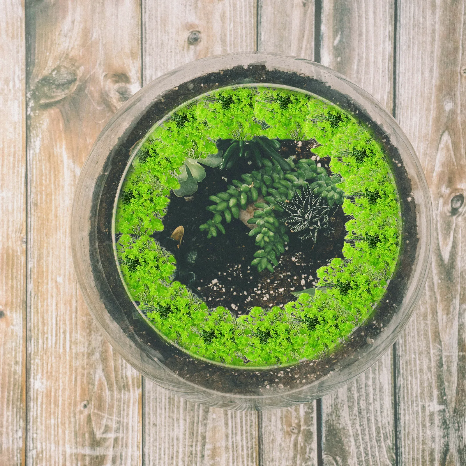 

Static Grass Tuft Miniature Artificial Flower Cluster Realistic Mini Plant Tuft for Railway Scenery DIY Landscape Sand Table