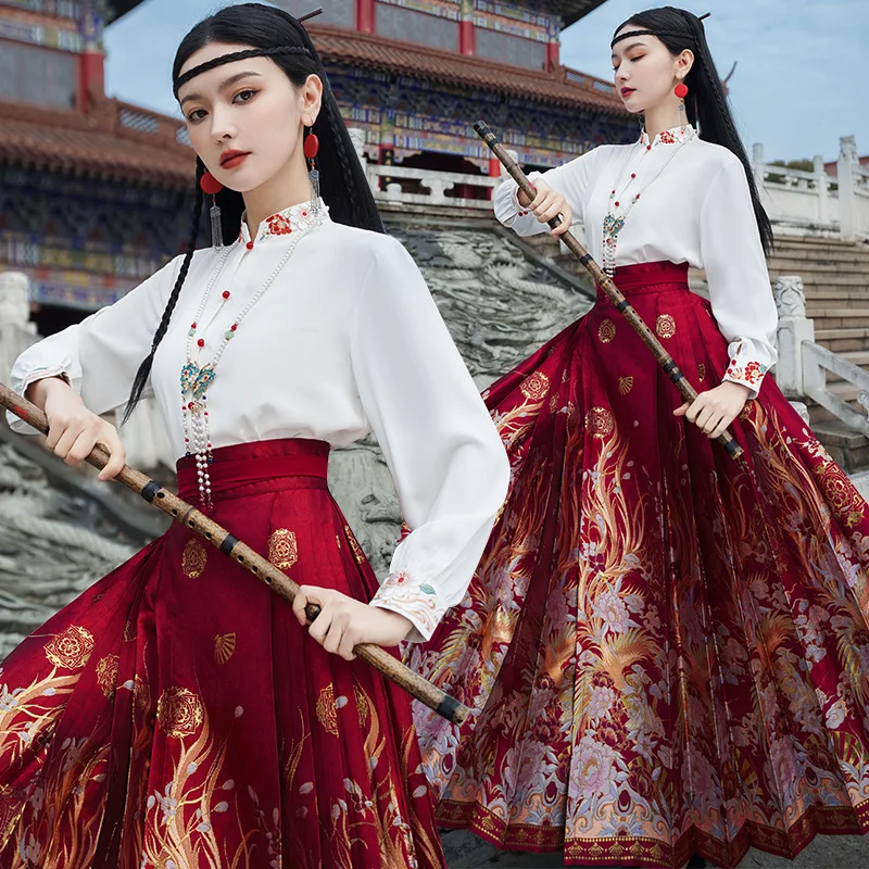 New Chinese Style Hanfu Improved Adult Ming Dynasty Costume Autumn/winter New High-end Horse Face Skirt Women's Skirt