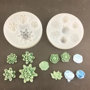 mini kirazın en büyük satışlarından 12'si-no. 11