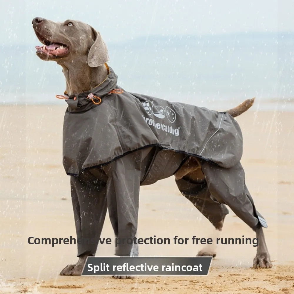 

Водонепроницаемый плащ для собак, большой, средний размер, золотистый ретривер, непроницаемая одежда для четырех ног, спортивная одежда для улицы, лето