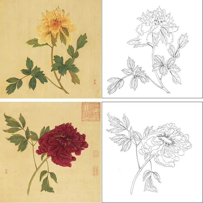 Imagem -06 - Meticuloso Linha Brushwork Desenho Xuan Papel Peônia Delicada Pintura Tradicional Chinesa Rascunhos para Iniciantes Art Supply