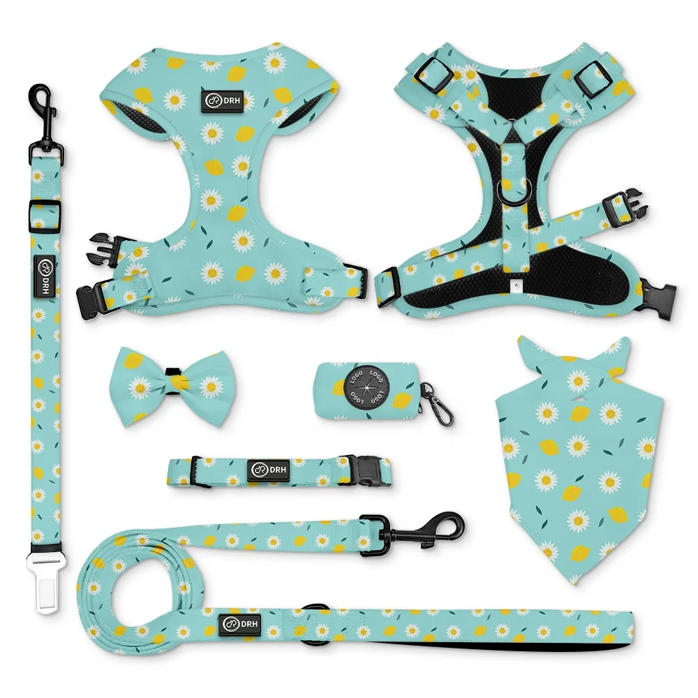 

French Bulldog Escape Proof Luxury Dog Harness Set Buckle Neoprene Cute Luxury Manufacturers Custom logo Dog Leash Harness