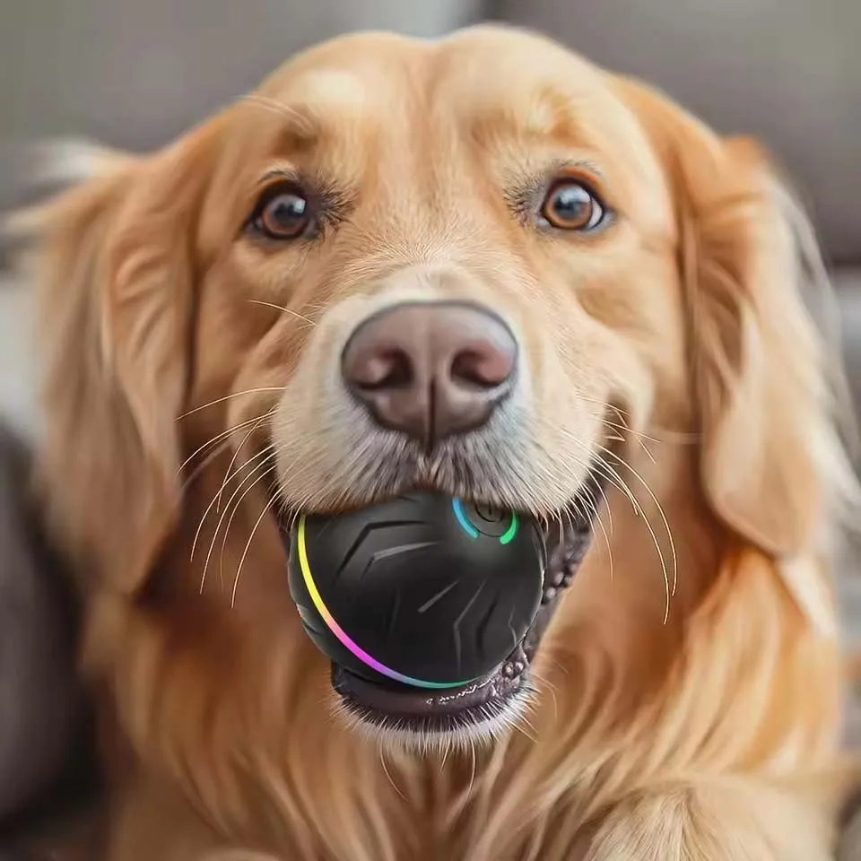 Interactive Smart Dogs Toys Balls - USB Automatic Moving Bouncing Ball for Puppy to Large dog-Electronic Pets Ball Birthday Gift