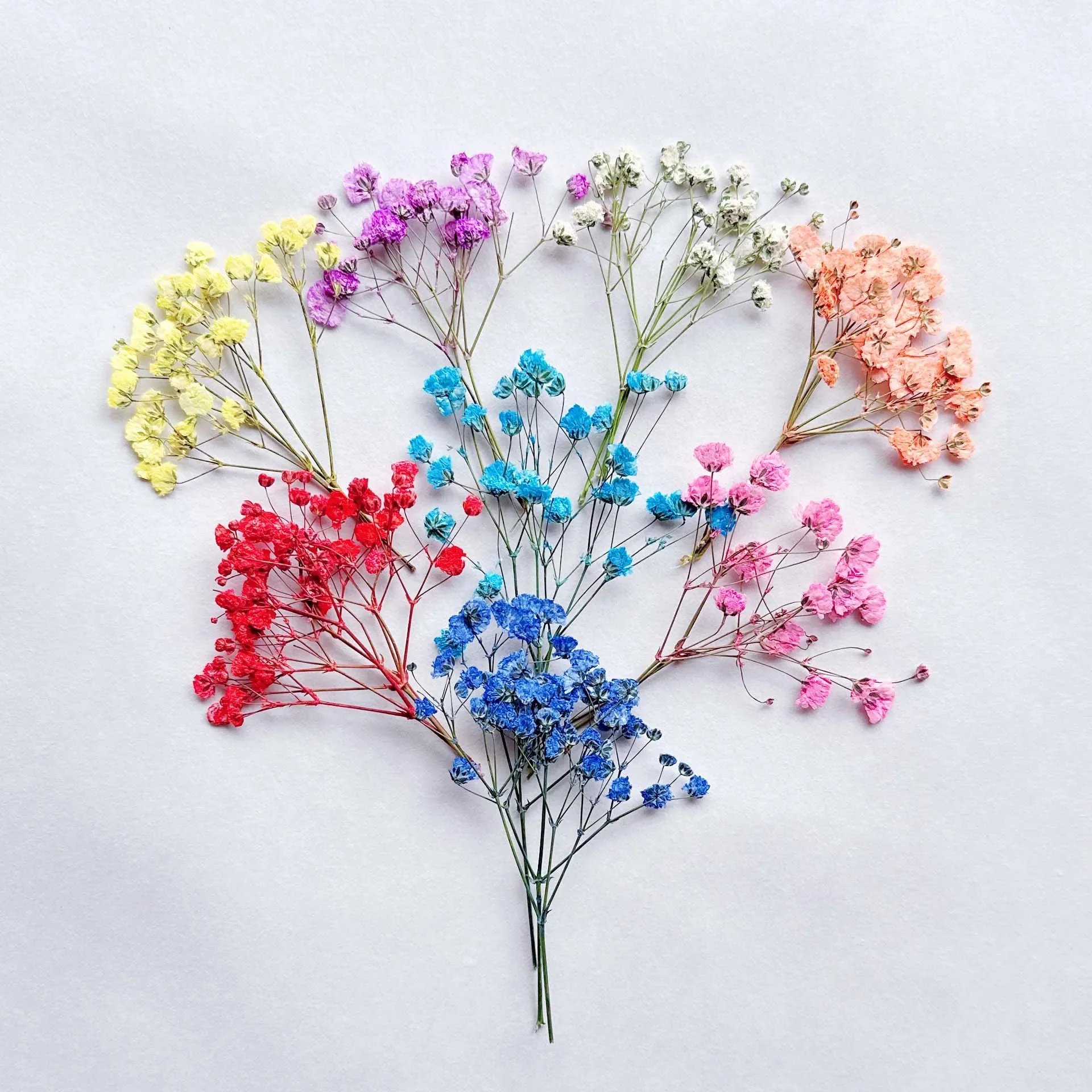 40pcs Decorative Dried Flowers Babysbreath Small Star Flowers Bouquet for Wedding Home Decoration Natural Plants Preserve Floral