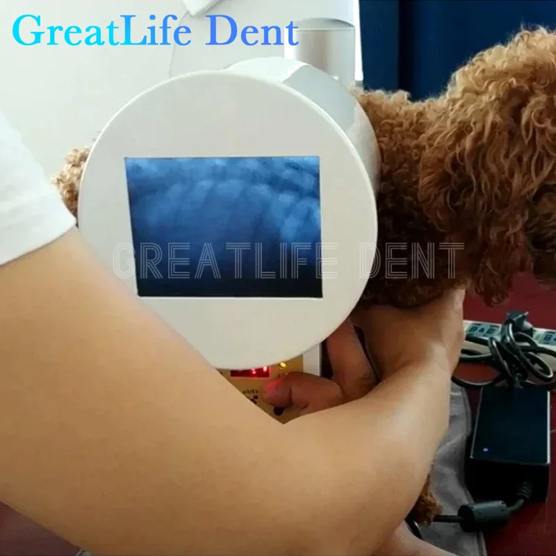 جهاز فحص فلوروسكوبي رقمي من GreatLife ، شاشة 15LCD ، محمول باليد ، أشعة إكس صغيرة ، دنت ، 75 كيلو فولت ، محمول ، حيوانات أليفة ، حيوانات ، كلب ، قطة