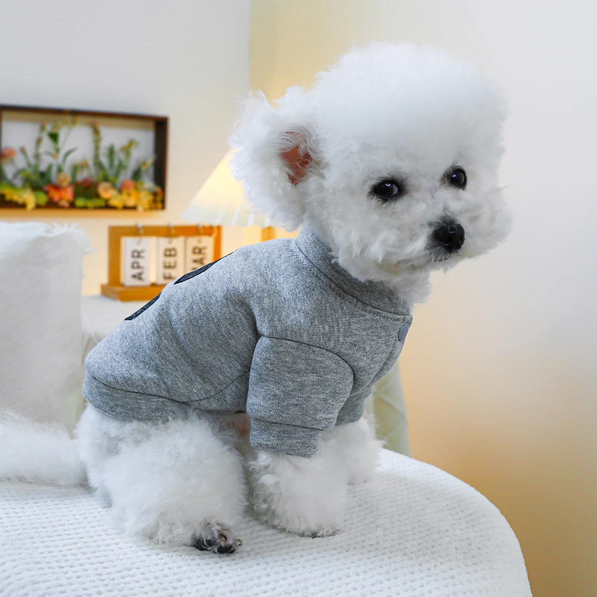 1PC Pet Clothing Cat Spring and Autumn Plush Thickened Warm Letter Solid Gray Coat Suitable for Small and Medium Dogs