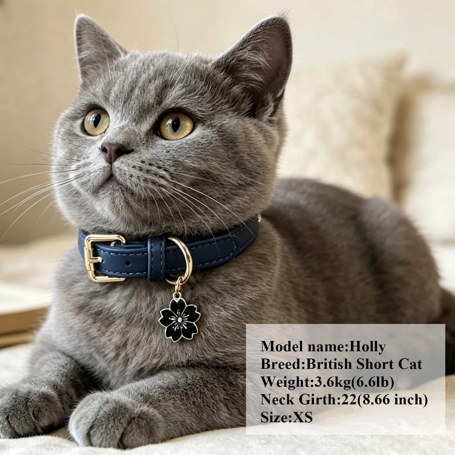 Luxury & Soft Leather Personalized Dog Collar and Pendant Pet Puppy Cat ID Nameplate Engraved for Small Medium Dogs