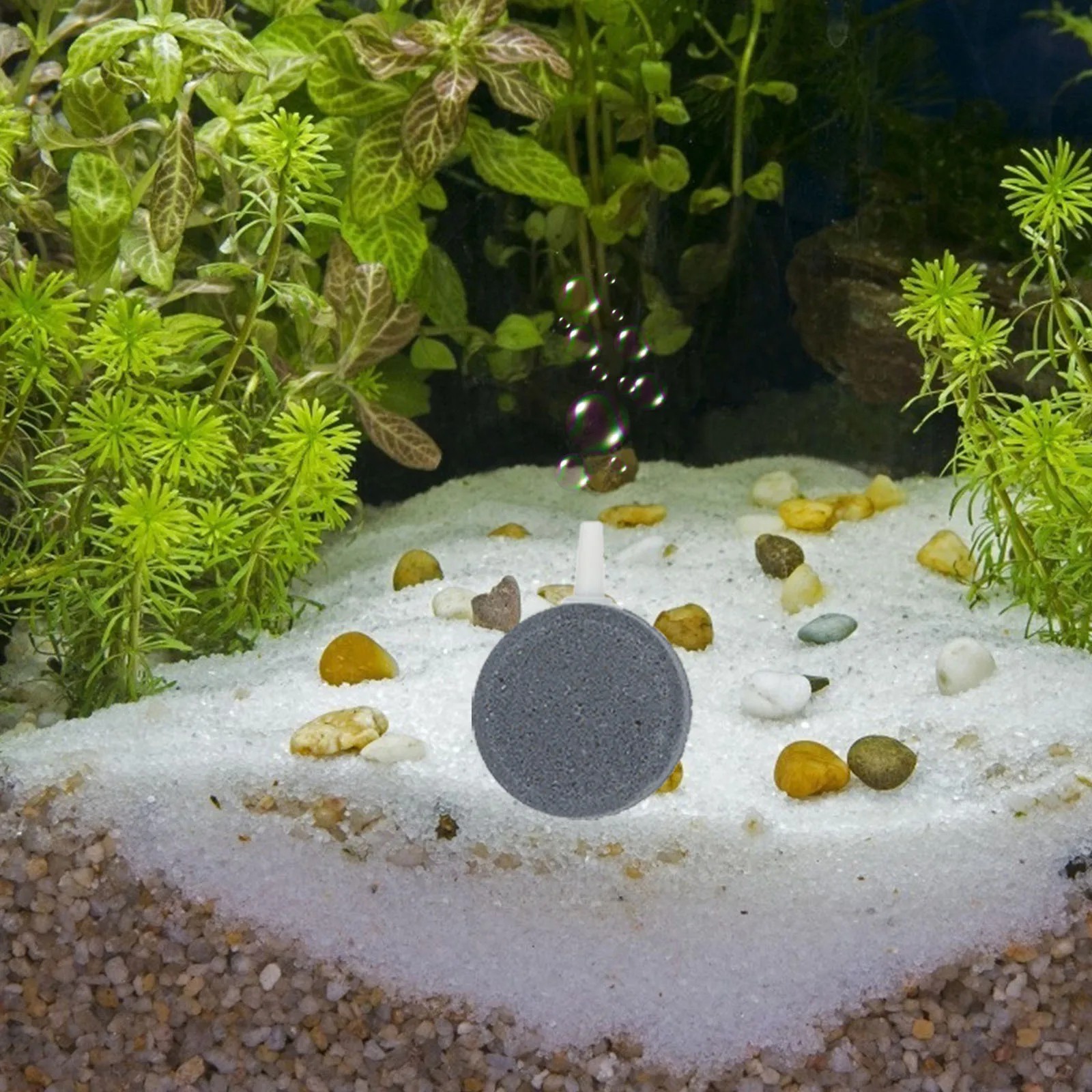 

5Pcs Air Stone for Aquarium Increase Oxygen Diffuser Fish Tank Bubbler Aeration Refiner Bubble Air Stone for Fish Tank