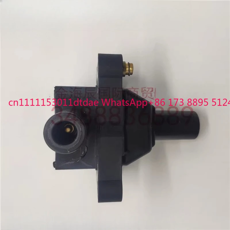 Bobine d'allumage haute tension Shuanglong Leicester Wood Soy Tanner, pack simple, 1621580103