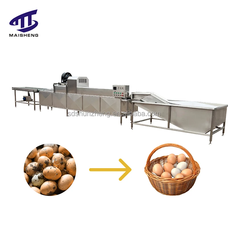 Highly Rated Commercial Egg Washer Automatic Egg Processing Equipment for Food Processing Machinery Egg Washing Machine