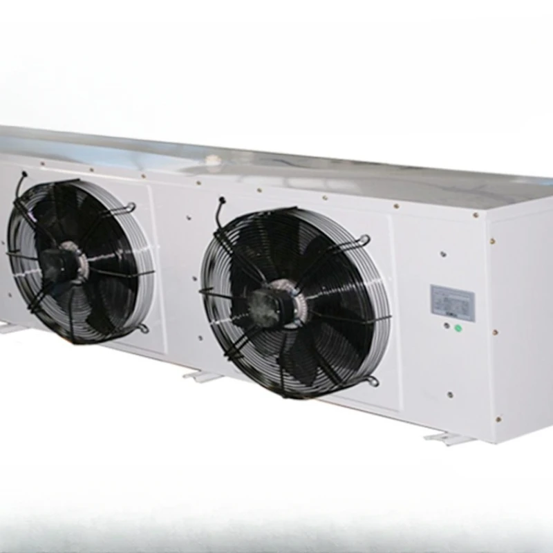 D type cold air fan air cooler DD/DJ/DL ceiling mounted wall mounted cold storage indoor unit electrochemical frost