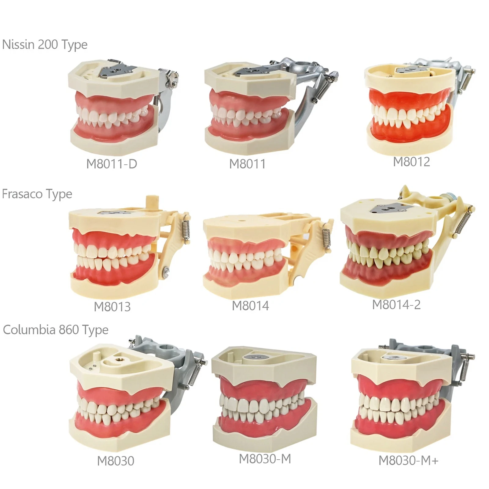 

Зубные зубы, модель 28, 32 зубца, совместимая с NISSIN 200 Frasaco AG3 ANA-4, магнитная/отложная коллекция Columbia 860