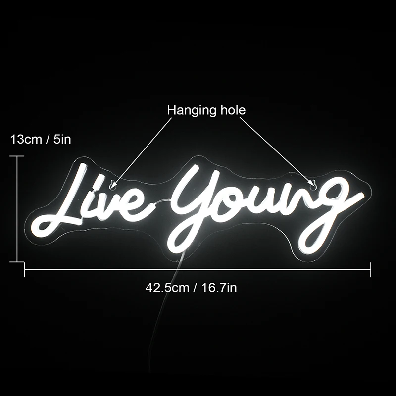 Live Young Neon Sigh Inspire Spirit Letter LED Lights Aesthetic Room Decor For Party Wedding Home Bar Hanging Wall Art Lamp Gift