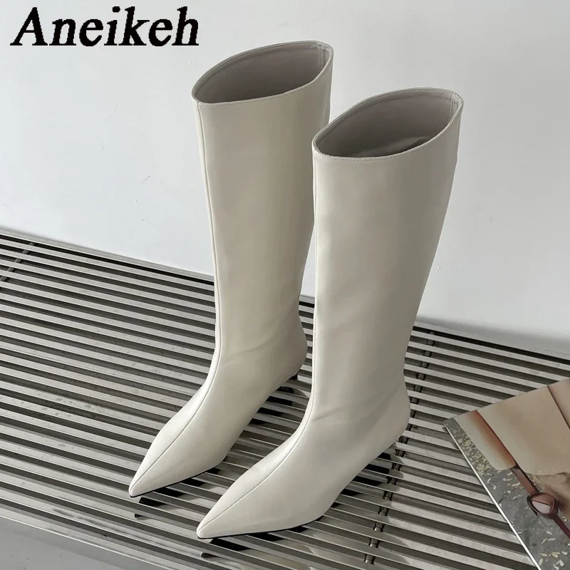 Aneikeh 2025 Fashion Sexy Pointed  Low Heels Knee Long Boots Women's Spring/Autumn PU Sewing Party Ball Western Boots 35-40