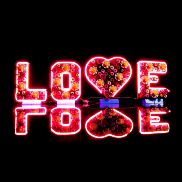 

Lighting Set Suitable for LEGO Love Letters 40867 Building Blocks (NOT Include The Model Bricks)