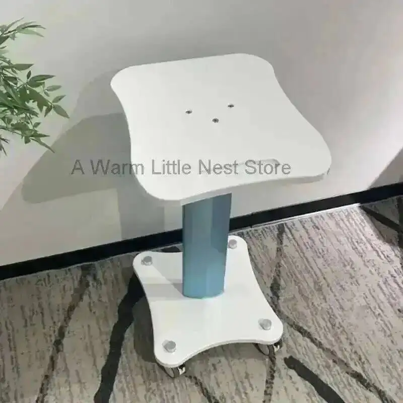 

Medical Nordic Minimalist Instrument Salon Trolley for Auxiliary Cart with Wheels Beauty Salon Dedicated Mobile Organizer Cart