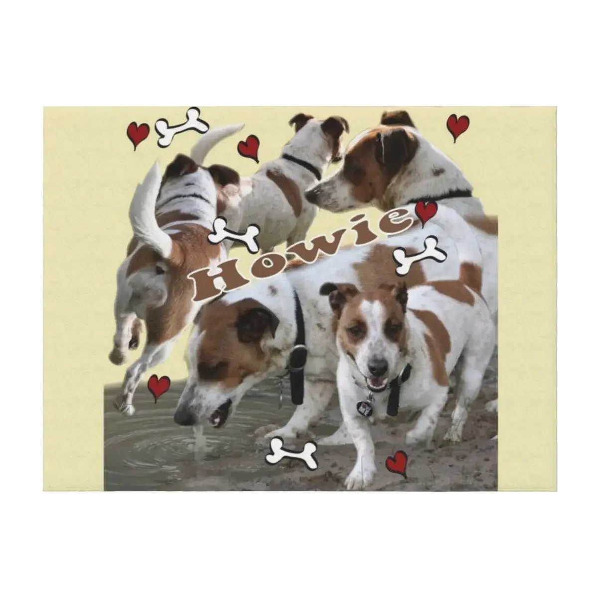 

Howie Throw Blanket blankets ands Sofas Cute Bed linens Blankets