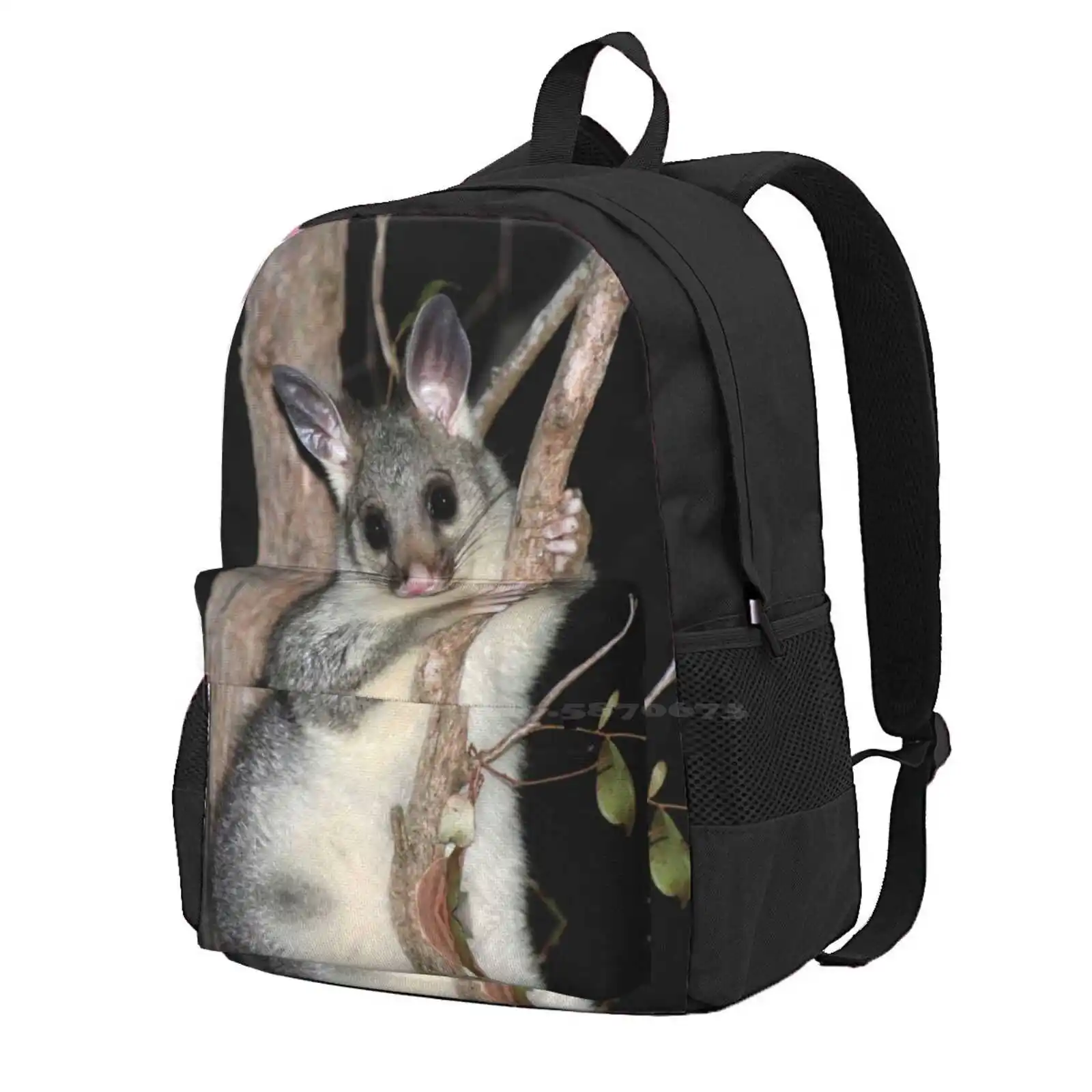 ? Australian Brushtail Possum ( Young ) Teen College Student Backpack Laptop Travel Bags Australian Brushtail Possum Land For