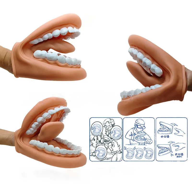 1Pc/1Set Teeth Care Model Mouth Puppet With Tongue Demonstration Teeth Model For Kids Teaching For Speech Therapy Dentist