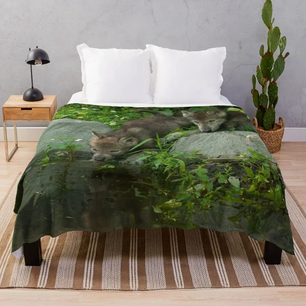 ΠΠ΄Π΅ΡΠ»ΠΎ Timber Wolf Pup, ΠΈΠ΄Π΅ΠΈ ΠΏΠΎΠ΄Π°ΡΠΊΠΎΠ² Π½Π° ΠΠ΅Π½Ρ ΡΠ²ΡΡΠΎΠ³ΠΎ ΠΠ°Π»Π΅Π½ΡΠΈΠ½Π°, ΡΠ΅ΠΏΠ»ΡΠ΅ Π·ΠΈΠΌΠ½ΠΈΠ΅ ΠΎΠ΄Π΅ΡΠ»Π° ΠΠ΄Π΅ΡΠ»ΠΎ Timber Wolf Pup, ΠΈΠ΄Π΅ΠΈ ΠΏΠΎΠ΄Π°ΡΠΊΠΎΠ² Π½Π° ΠΠ΅Π½Ρ ΡΠ²ΡΡΠΎΠ³ΠΎ ΠΠ°Π»Π΅Π½ΡΠΈΠ½Π°, ΡΠ΅ΠΏΠ»ΡΠ΅ Π·ΠΈΠΌΠ½ΠΈΠ΅ ΠΎΠ΄Π΅ΡΠ»Π°