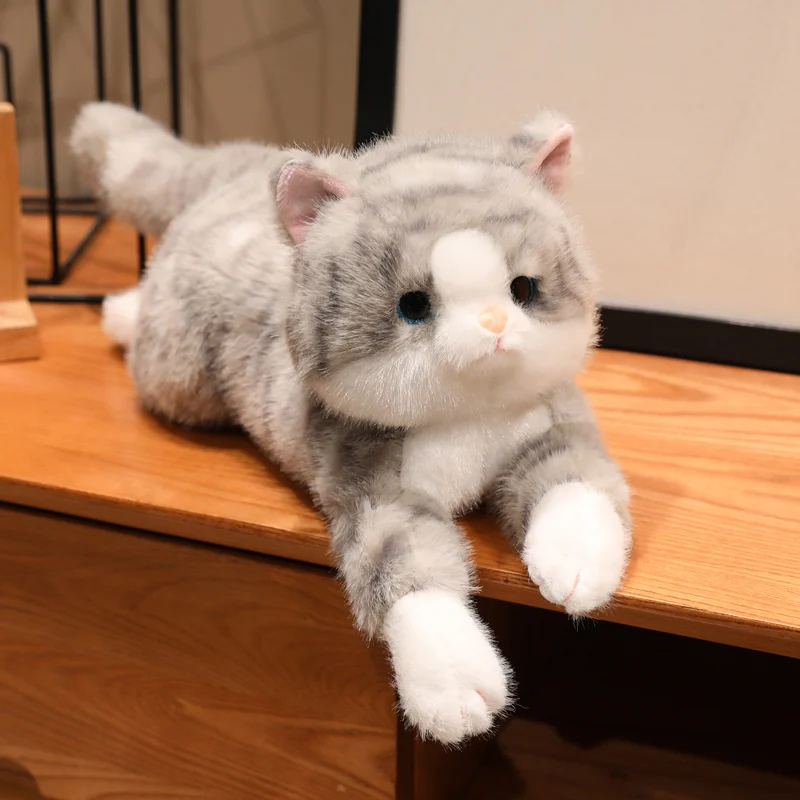 Schattig Katje Knuffels Knuffels Huisdier Liggen Pop Kussen Knuffels Zacht Speelgoed Kerstcadeaus voor kinderen Speelgoed voor meisjes Jongens - afbeelding 1