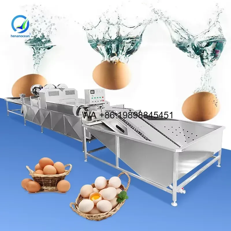Wmwmnu for Stainless Steel Automatic Egg Washer Egg Cleaning Equipment Egg Wash Grading Line
