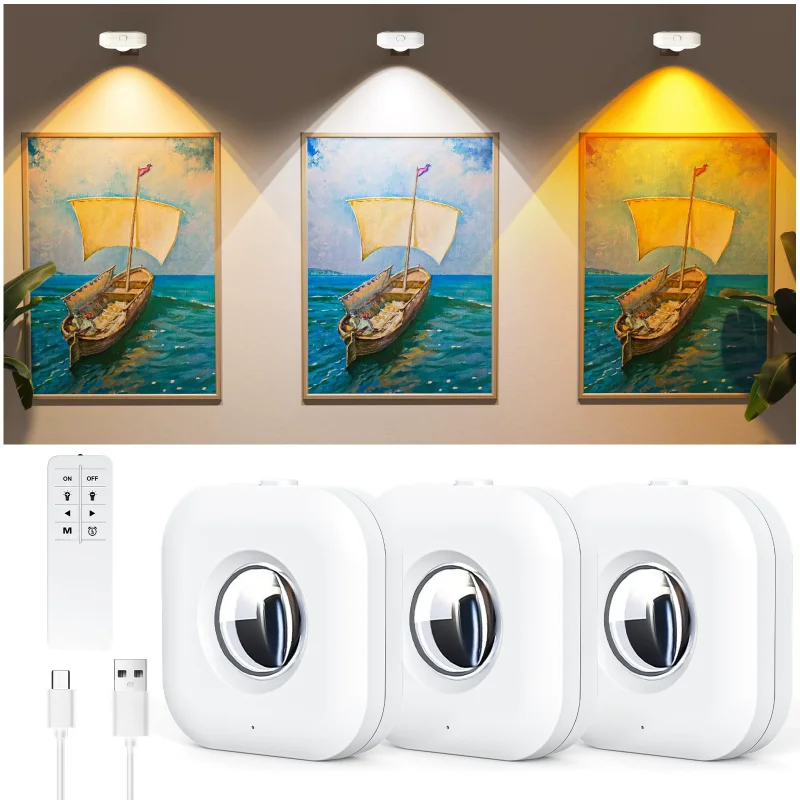 

Led Wall Painting Light Usb Charging 3 Colors Remote Control Suitable For Living Room Wall Painting Exhibition Indoor Lighting