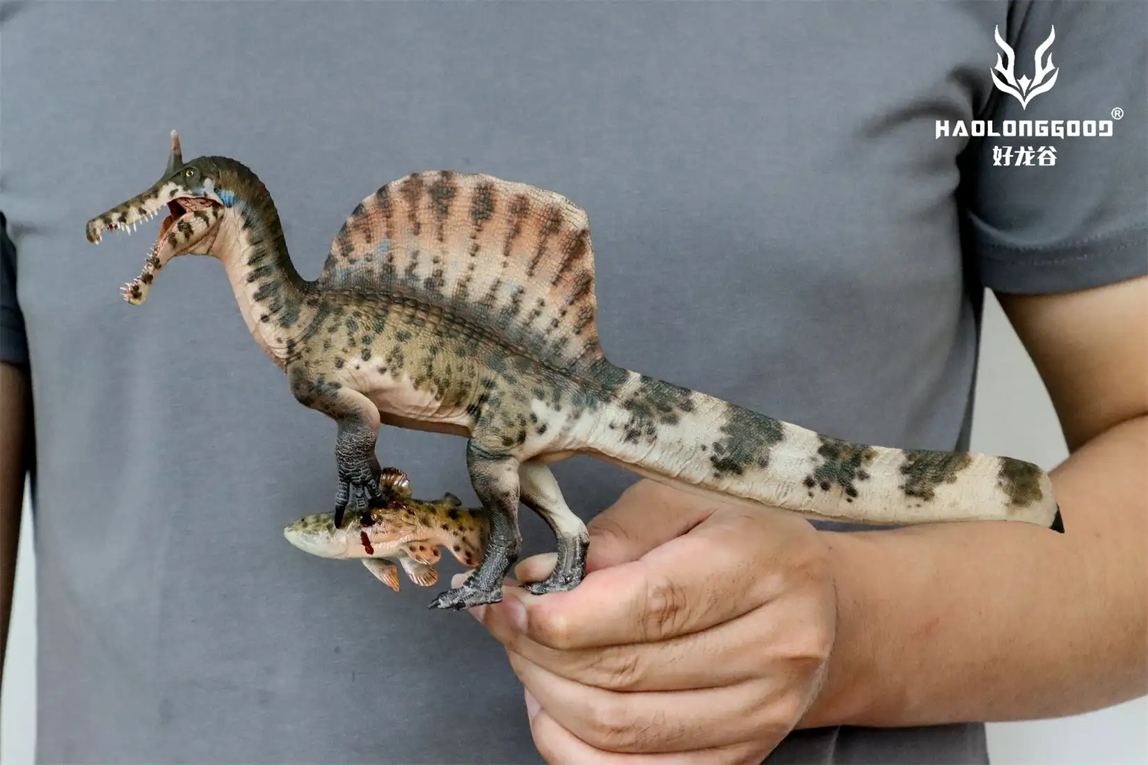 HAOLONGGOOD 1:35 Schaal Spinosaurus Mirabilis Model Dinosaurus Dier Collectible Handwerk Scène Decoratie Verjaardagscadeau