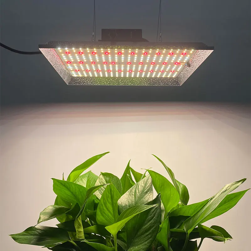 Long Service Life Led Grow Light 120W 150W Quantum Plant Growth Lamp For Indoor Plants