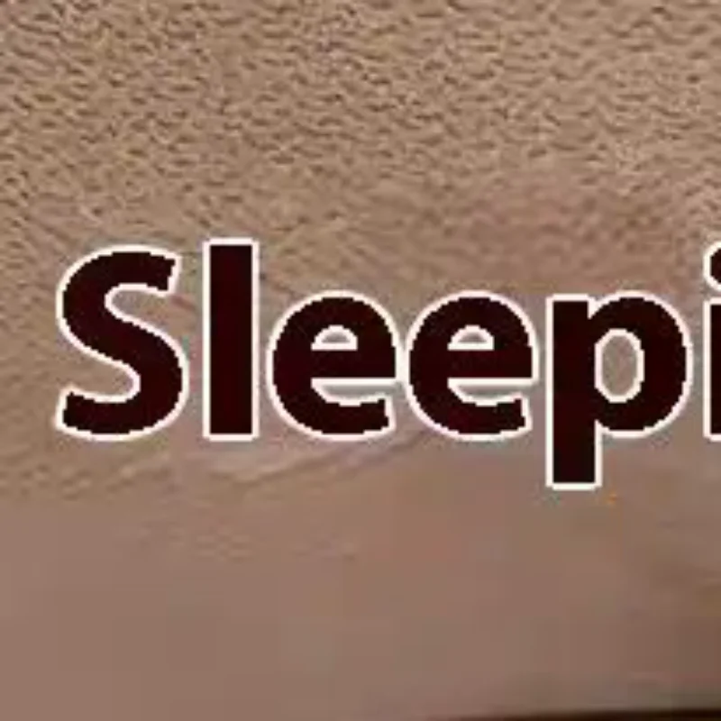 وسادة من الساتان، رباط شعر للنوم، مملوء بالقطن، حبل شعر للأمعاء الغليظة، حلقة فرنسية كلاسيكية للأمعاء الغليظة #1