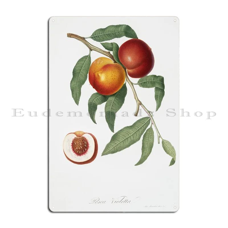 

Walnut Persica Violacea Fr Metal Sign Club Club Bar Design Painting Décor Tin Sign Posters Interior Room Decoration