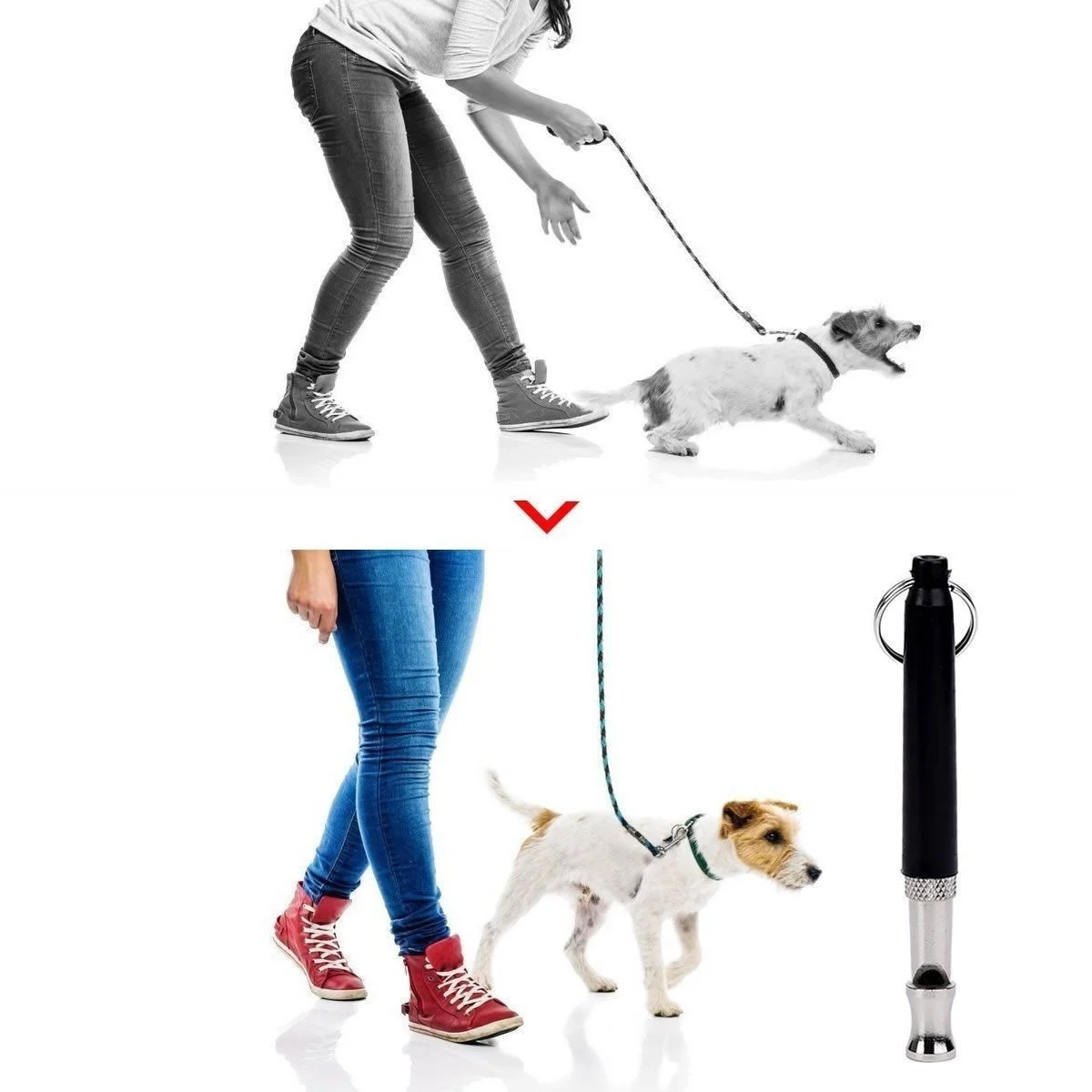 Thumbnail 4 - #8 Ranked Dog Training Whistles Picks in 2026
