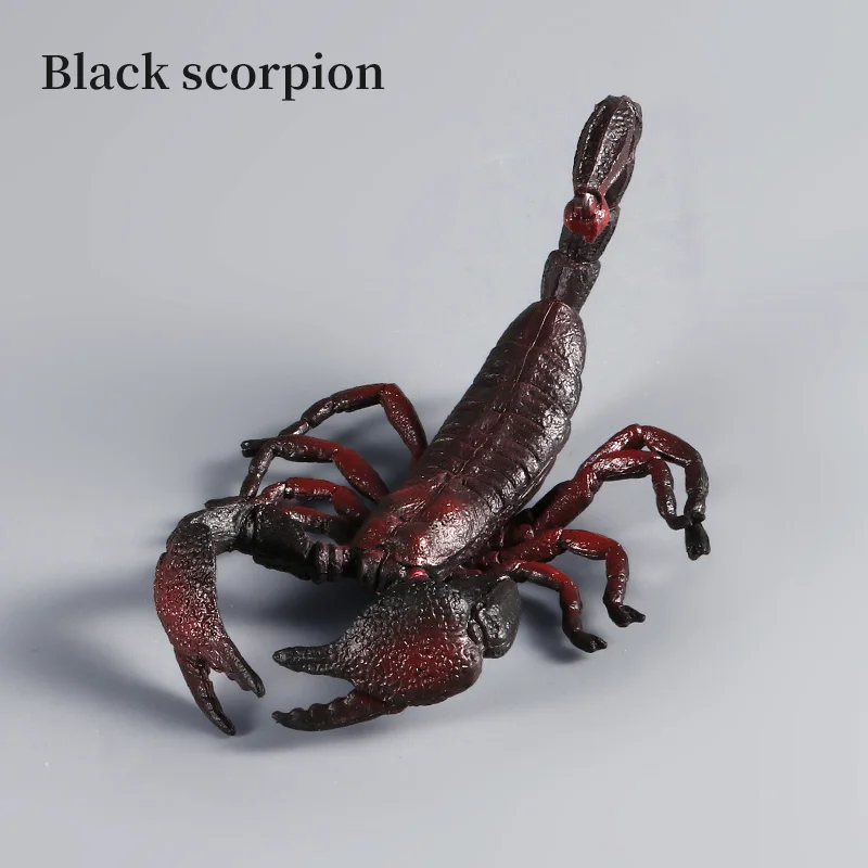 شخصيات عمل العقرب الصلبة محاكاة المفصل الحشرات نماذج للحيوانات لعبة تعليمية معرفية للبنين والبنات الأطفال G