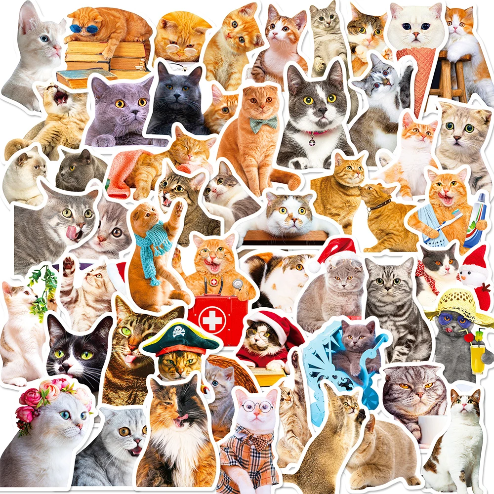 10/30/50pcs Cute Funny Cats MEME Stickers Cartoon Animal Graffiti Decals Toys DIY Water Bottle Phone Case Laptop Kawaii Sticker