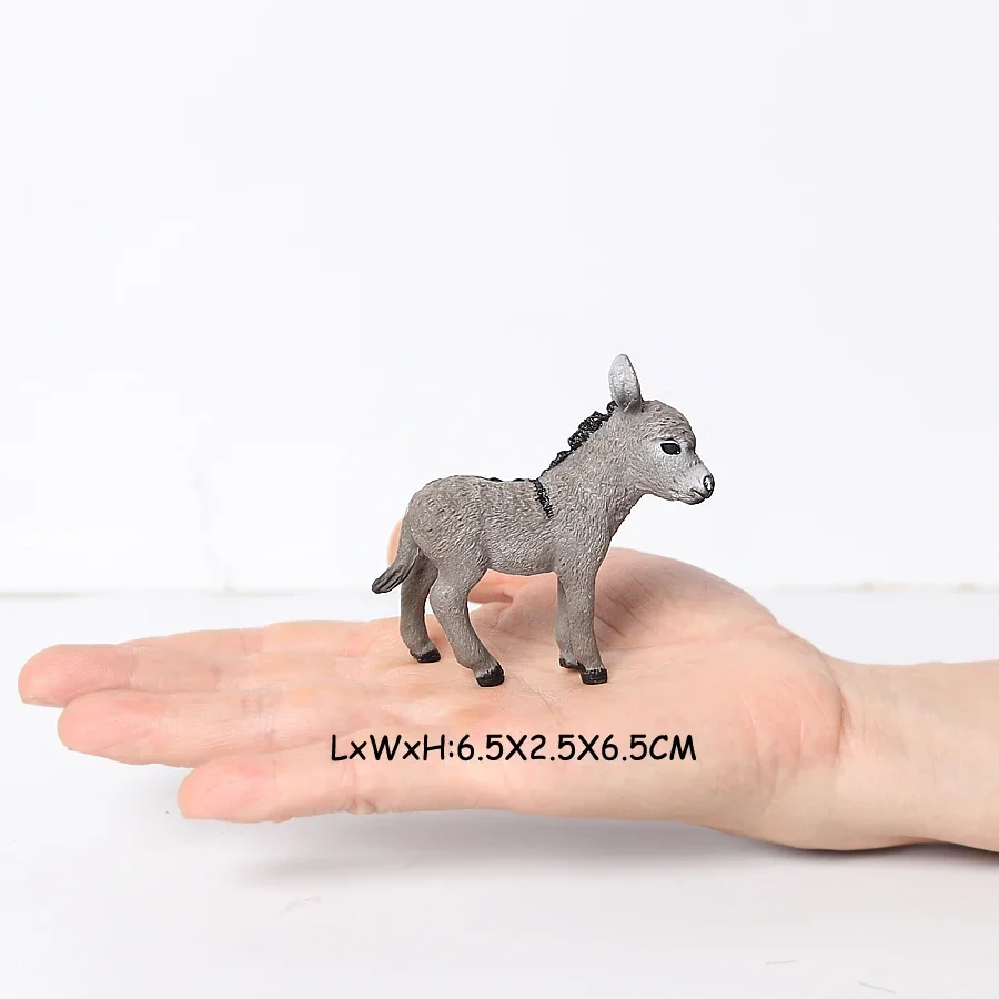 Donkey 9