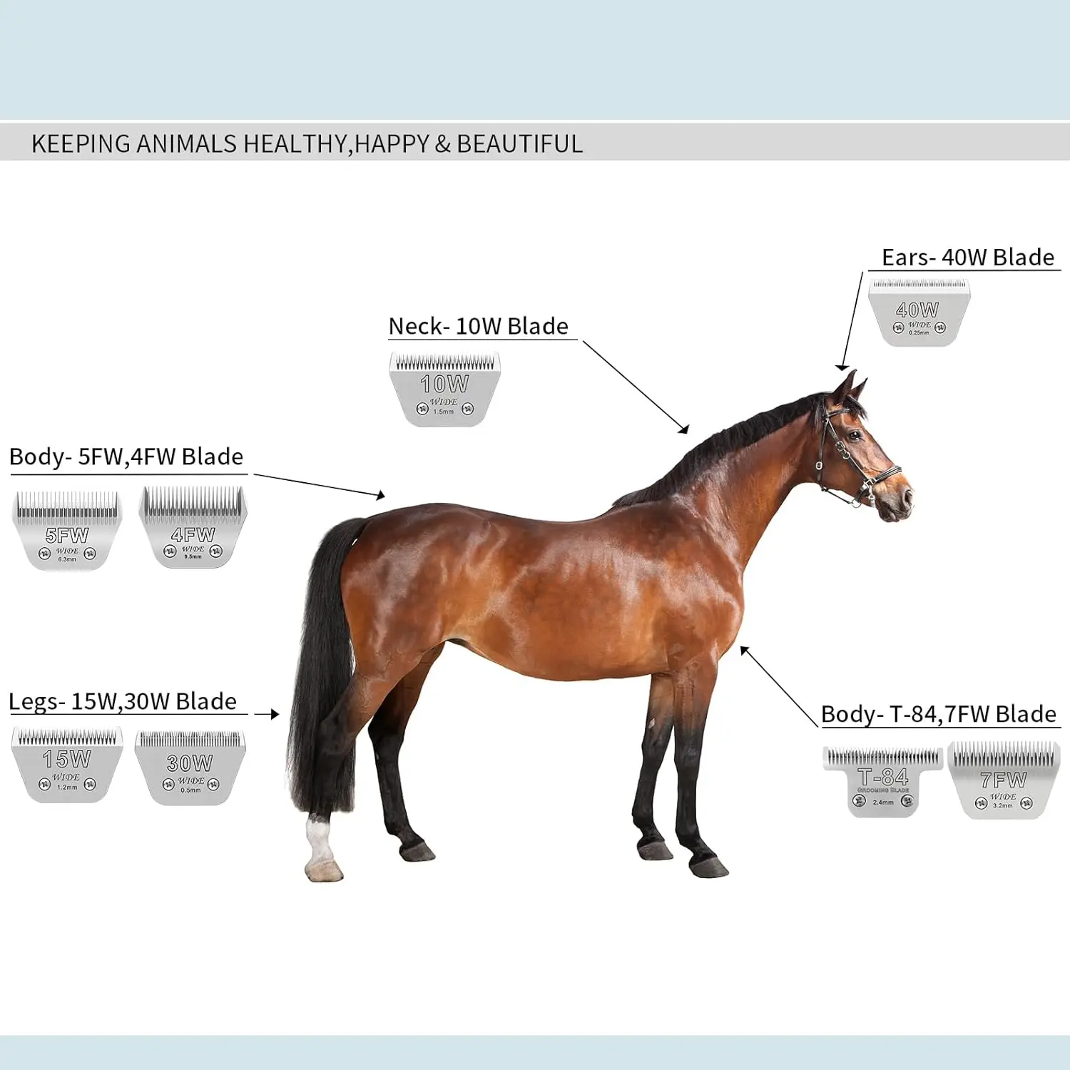 شفرة واسعة قابلة للفصل لتصفيف حصان الكلاب الأليفة متوافقة مع ماكينة قص الحيوانات Andis وOster A5 و Wahl KM
