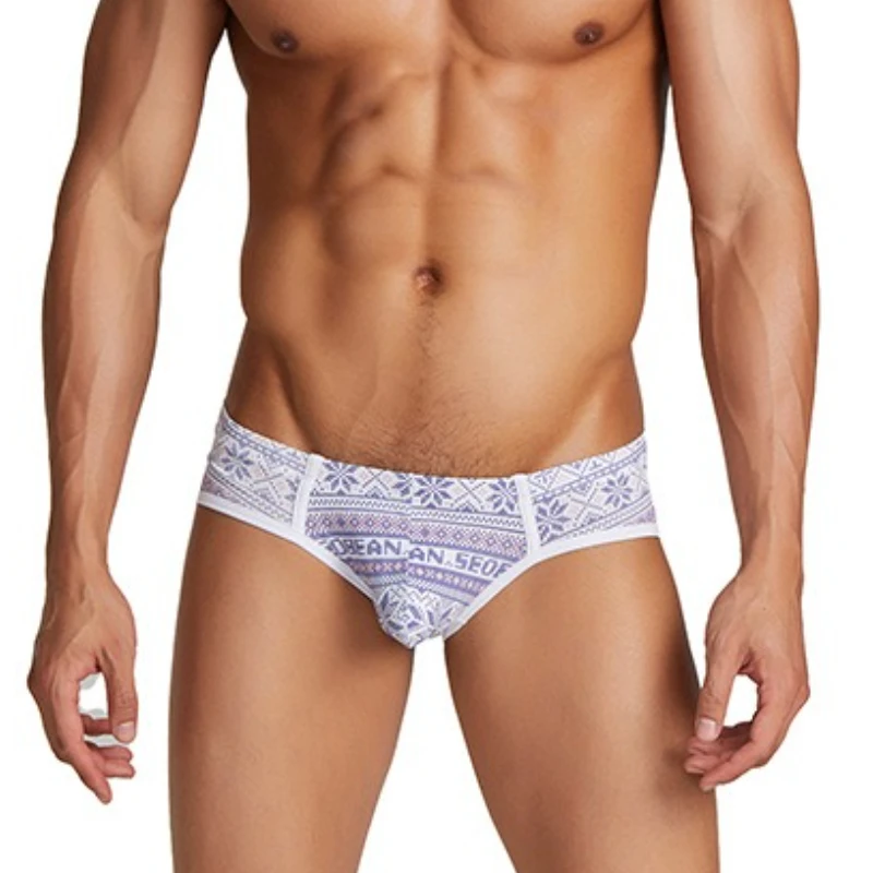 Sexy Men's Underwear Ultra Thin Transparent Briefs Bikini Shorts Gay Mesh Underpants Print Swimming Trunks Breathable Swim Suit