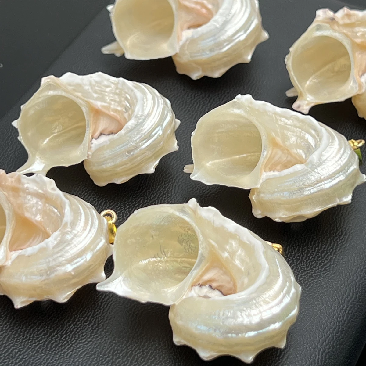 5pcs/lot Natural Freshwater Shell Pendants Exquisite Sea Shell Crafts Charms For Jewelry Making DIY Necklaces Earrings Wholesale