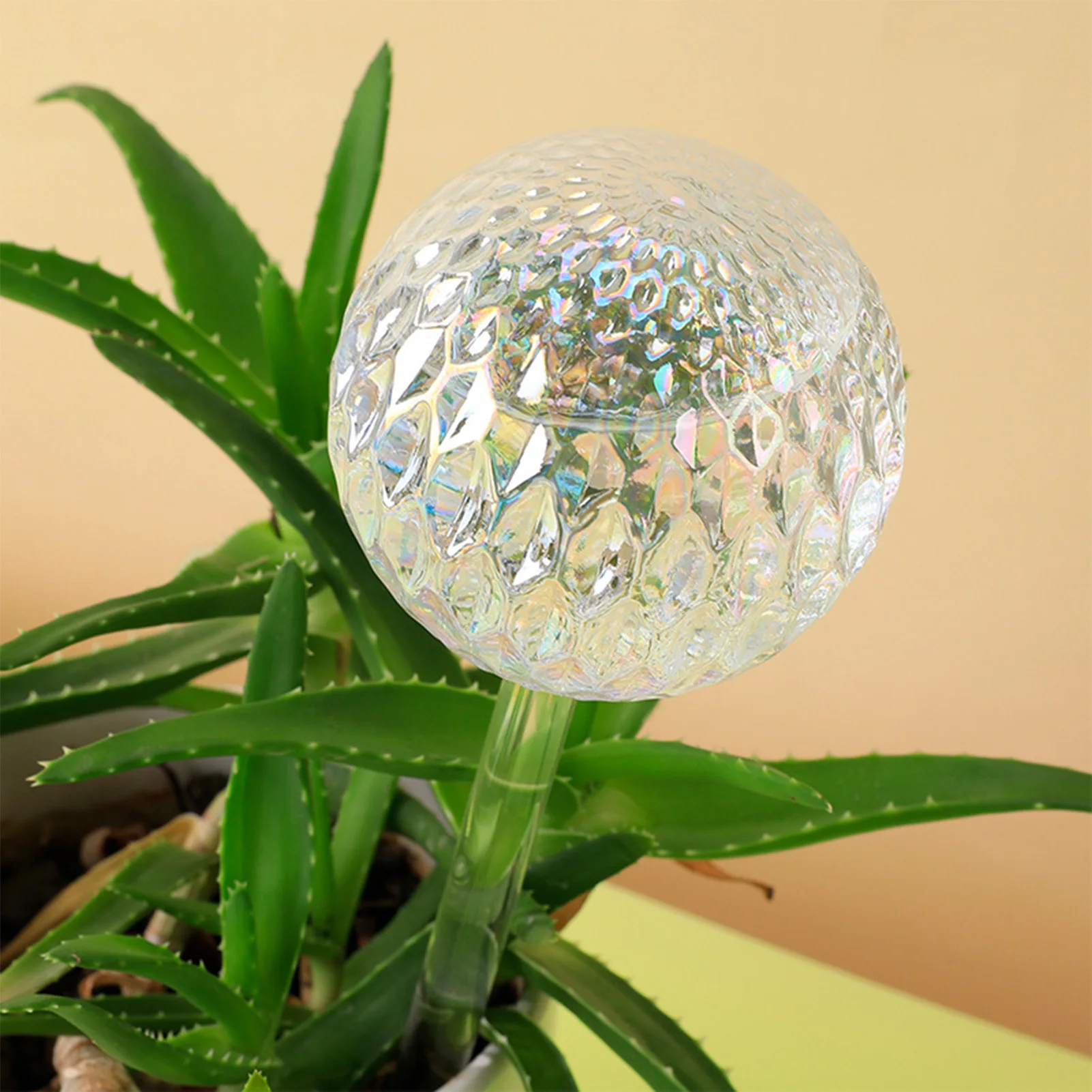 Round Ball Plant Watering Globes Automatic Plant Watering Devices for Indoor Outdoor Plant