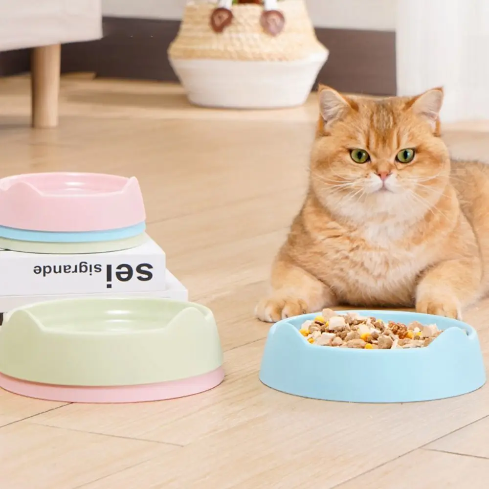 Practical Plastic Cat Bowl Solid Color Portable Kitten Food Container Large Capacity Multipurpose Dog Water Feeding Bowl