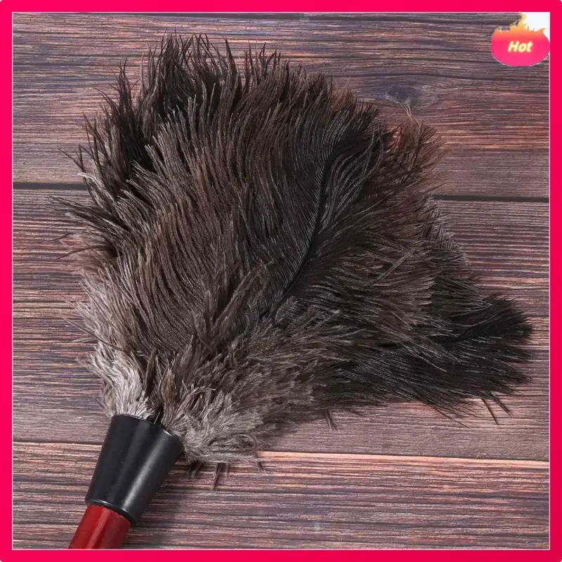 

ABYP 8X Чистящая тряпка из страусиных перьев, тряпка для страусиных перьев, тряпка для мягких перьев